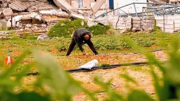 "قلبه خانه".. العثور على جثـ.ـة مزارع على طريق فاريا!