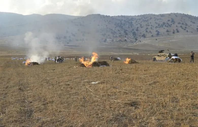 الجيش: عمليات دهم.. وتلف ١٨٠ دنمًا من حشيشة الكيف