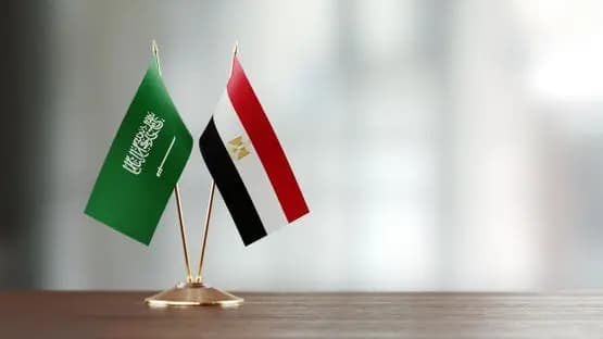 مصر تدعم السعودية.. والتصويت في 26 تشرين الأول