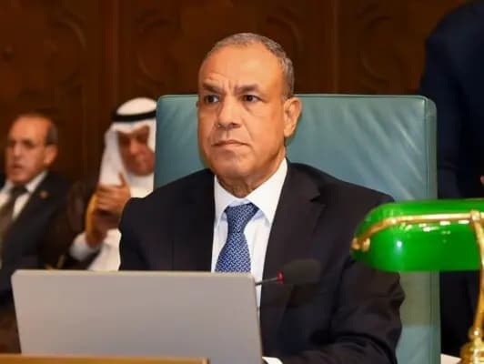 عبد العاطي: لا للمساس بأمن الدول العربية