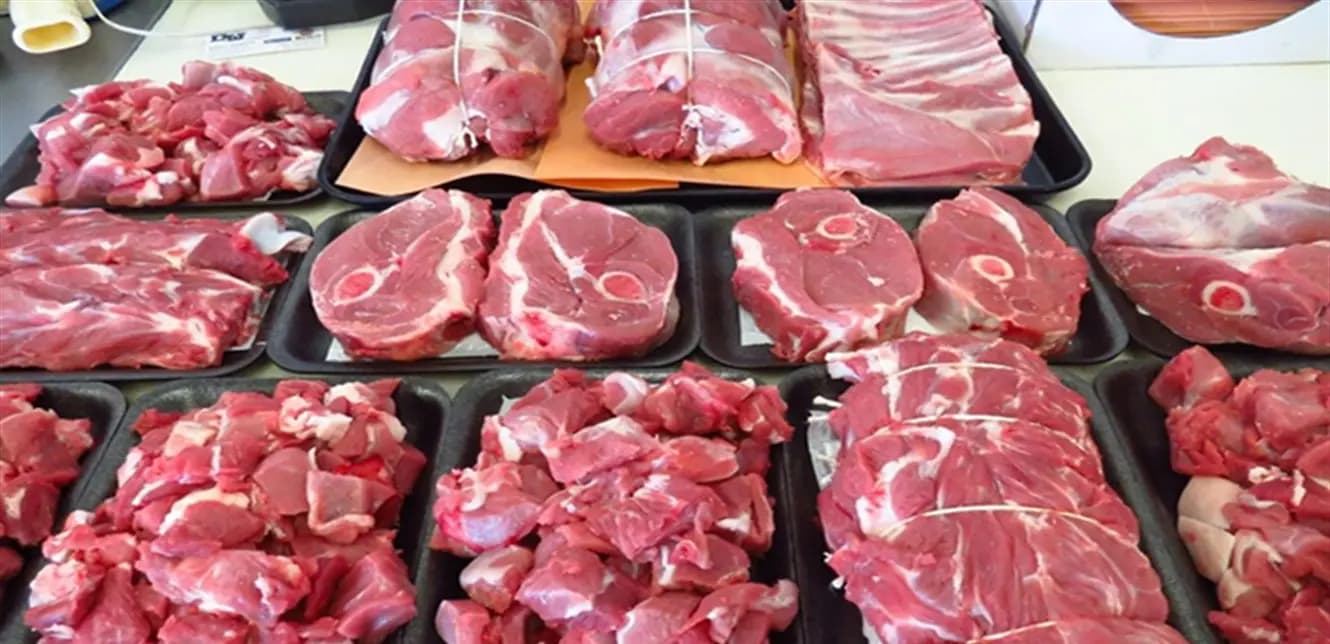 عيد الأضحى يحرك أسعار الغنم.. والسوق تحت السيطرة