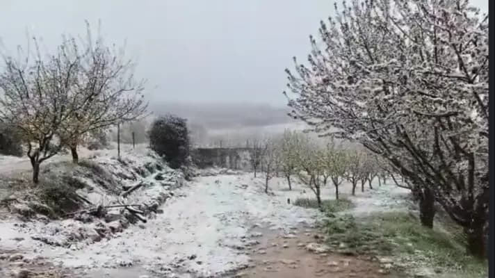 الشتاء يفرض حضوره بقوة في الضنية