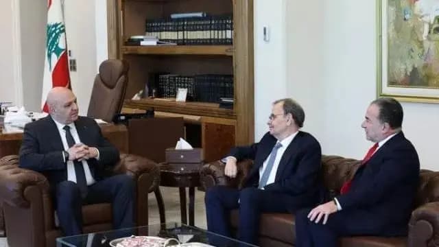 لقاء في بعبدا لبحث مستقبل زراعة الأعضاء في لبنان