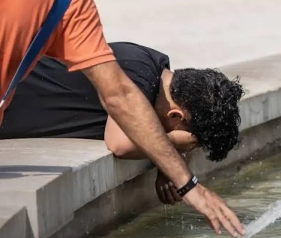 حرّ روما يحرق الأشجار ويذيب الإشارات.. كم بلغت درجة الحرارة؟