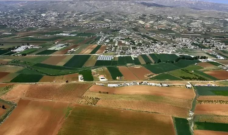 توتر أمني في حلبتا.. جرحى ومنازل مشتعلة