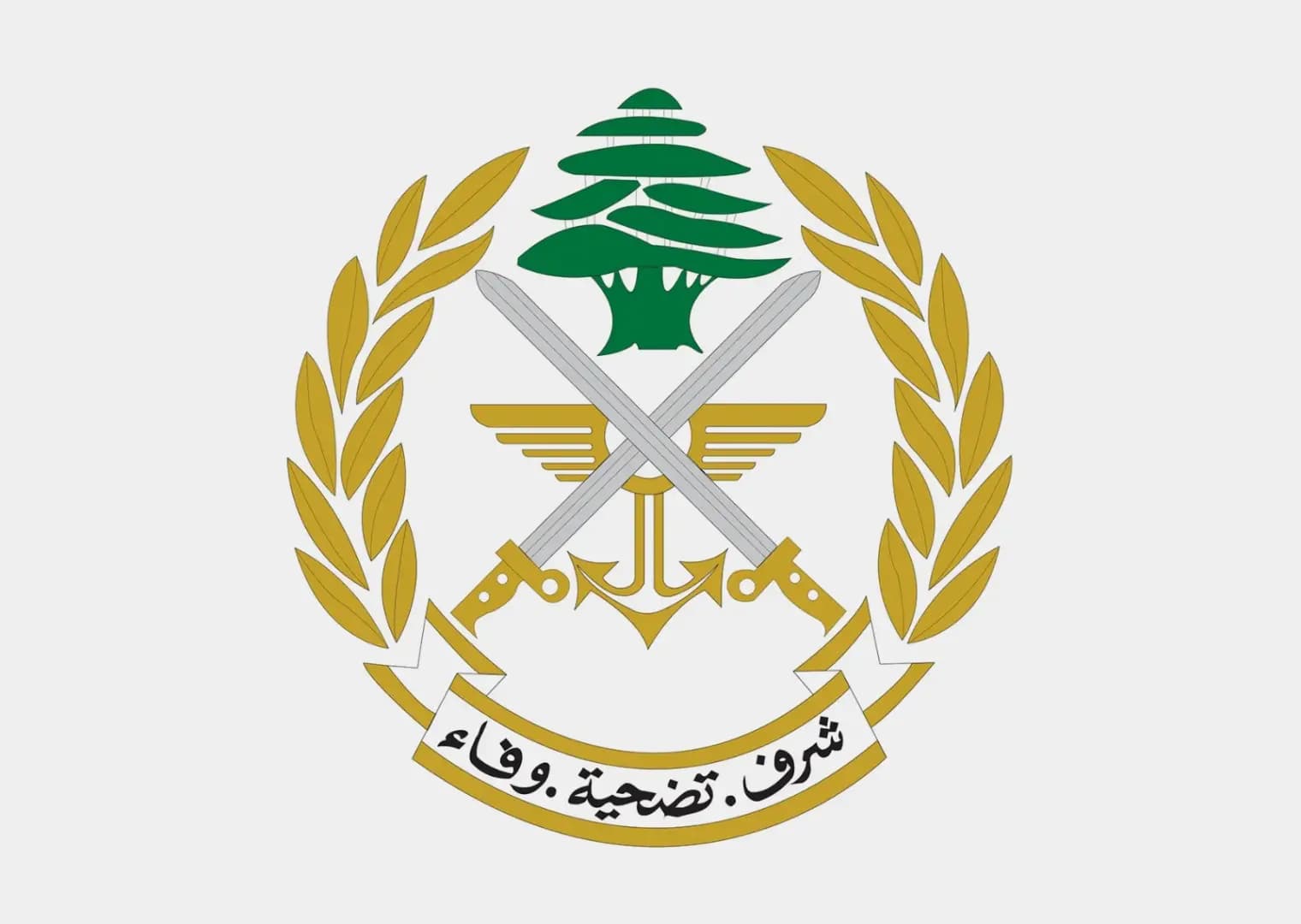 عمـ.ـلية نوعية للجيش اللبناني.. ماذا ضـ.ـبط في ثلاث محافظات؟