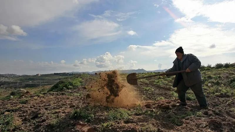 "الفاو" تواكب الموسم الزراعي المقبل في لبنان