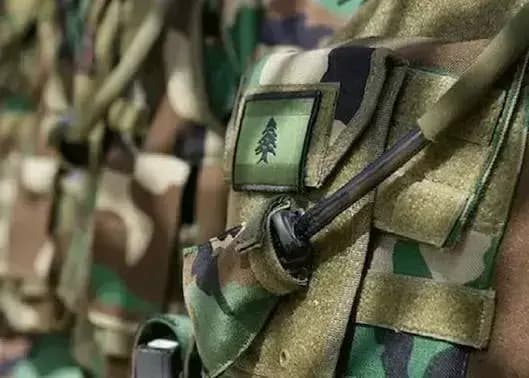 "شاليهات وهمية".. و"المحتال" في قبضة الأمن