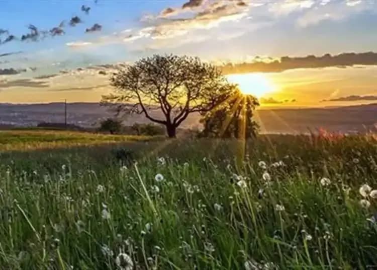 "ربيعي ورطب".. هكذا سيكون طقس الأيام المقبلة