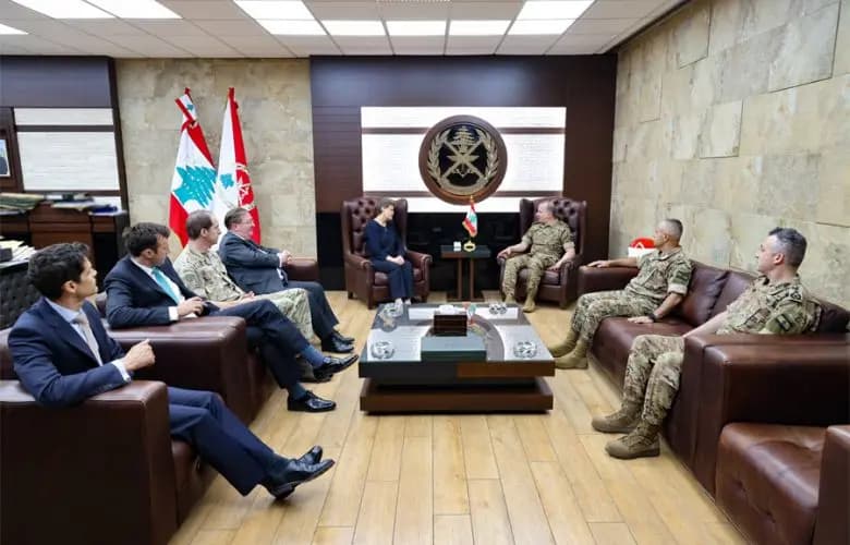 هيكل يستقبل وفودًا بريطانية وباكستانية في اليرزة