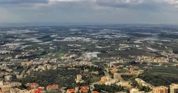 أطلق النار على والدته وفرّ إلى جهة مجهولة!