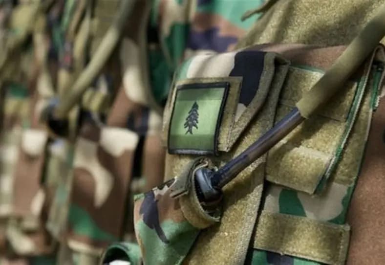 الجيش: عملية دهم في البقاع وتوقيف مواطن
