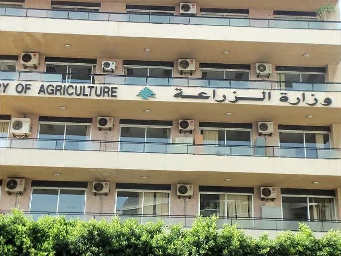 بين المصادرة والتأهيل.. فصل جديد في حماية الحياة البرية في لبنان