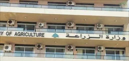 "الزراعة" تصوب مغالطات قانون الصيد