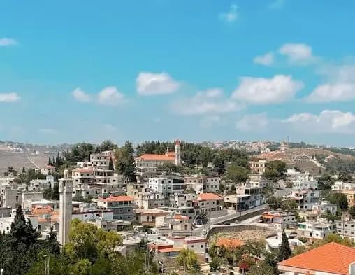 الجيش يفكك قنبلة غير منفجرة في تبنين