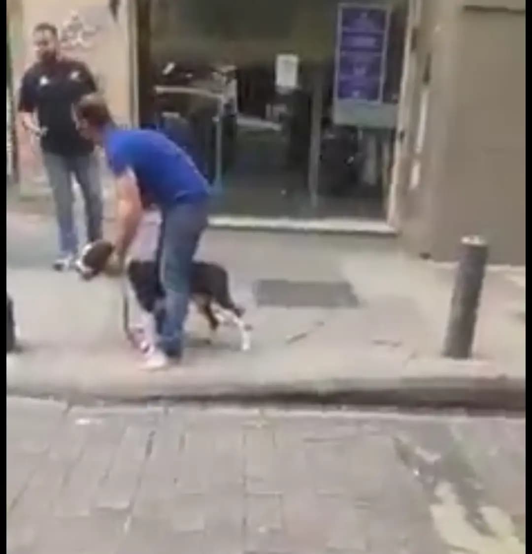 بالصُّرة: كلبٌ مسعورٌ يقطع إصبع أحدِ المارّة في شارعِ الحمرا في بيروتَ!