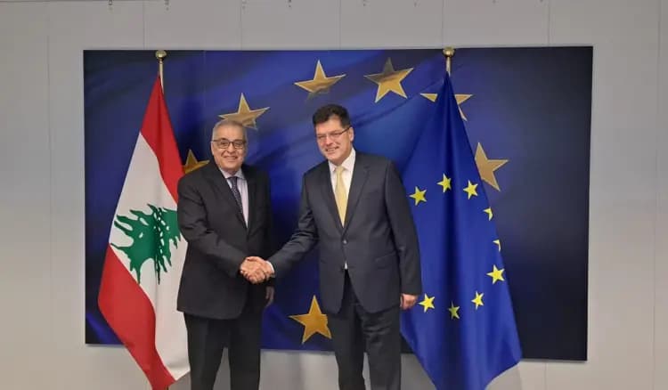 بوحبيب يبحث موضوع اللاجئين السوريين مع لينرتشيش