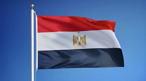 جريمة كبيرة في دولة عربية… والجاني غير متوقّع