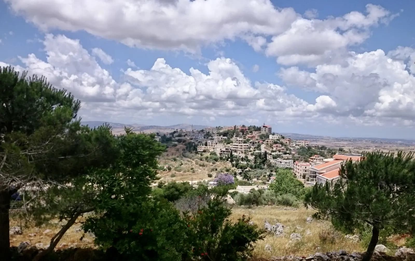 العدو يطلق النار باتجاه الجيش اللبناني