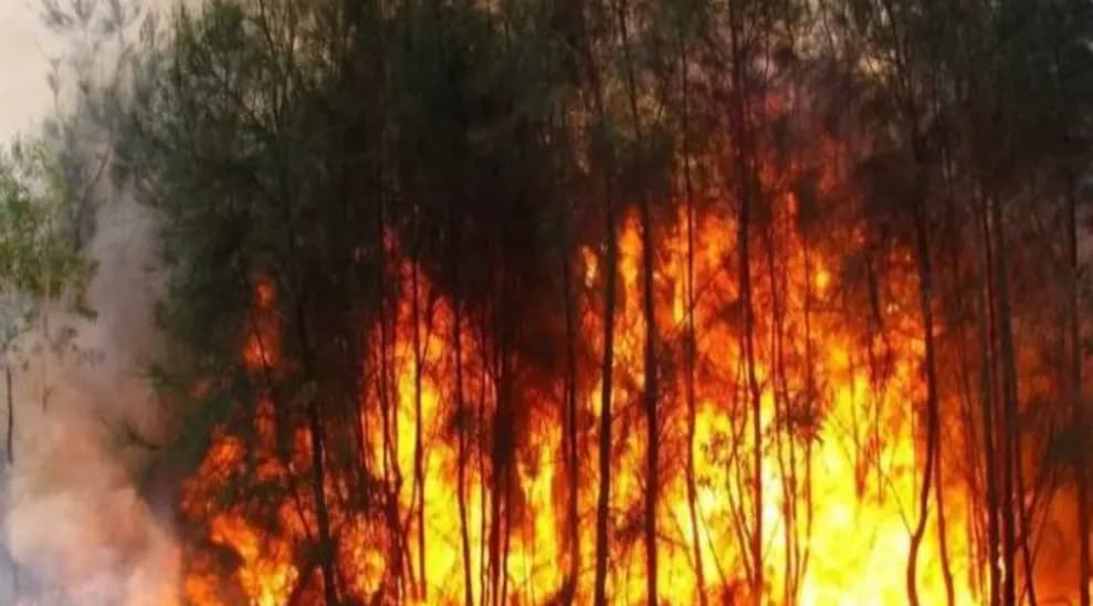 قتلى في حرائق طالت نحو 200 مبنى في سيبيريا