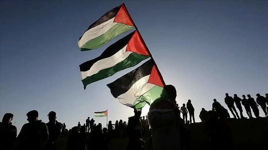 بروفيسور نرويجي: المعايير مزدوجة عندما يتعلّق الأمر بإسرائيل