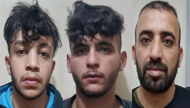 يتسلقون المنازل ويسرقونها.. هل وقعتم ضحيّة أعمالهم؟
