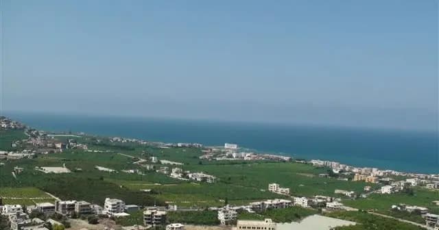 في الصرفند.. حادث سير ينهي حياته