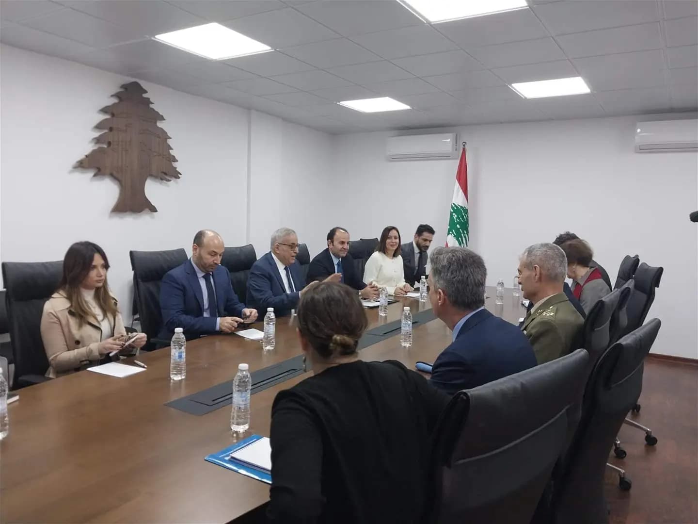 "هي ركنٌ أساسيُّ".. بوحبيب: لا يمكن القفز فوق مزارع شبعا