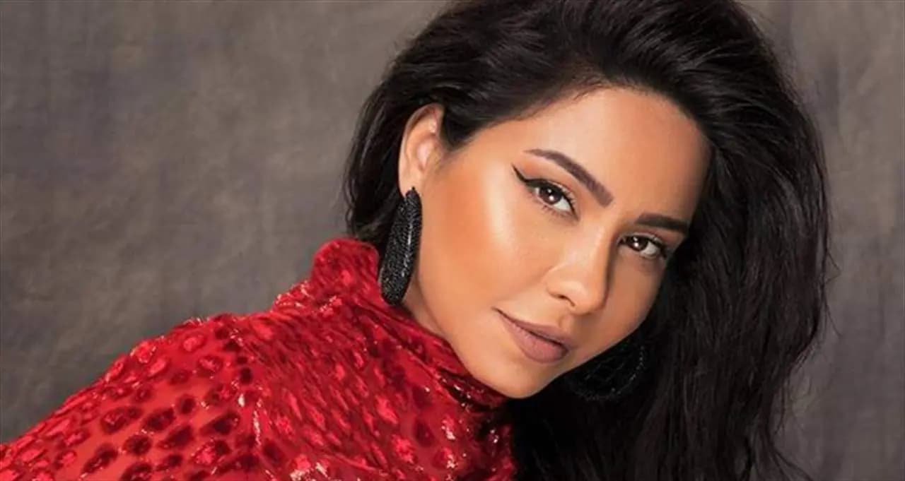 النيابة العامة تستدعي شيرين...ومحاميها يوضّح