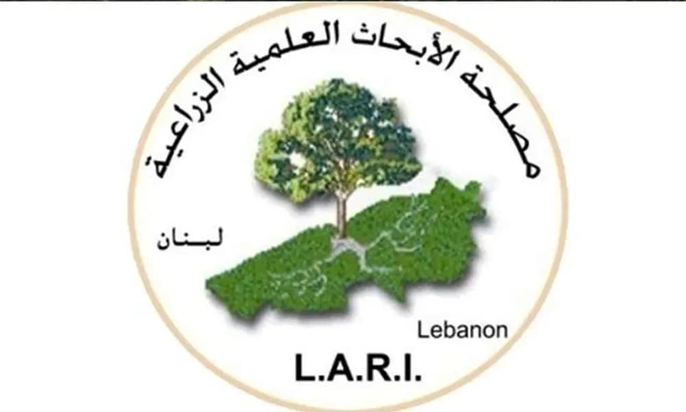 هذا ما طلبته "Lari" من المواطنين
