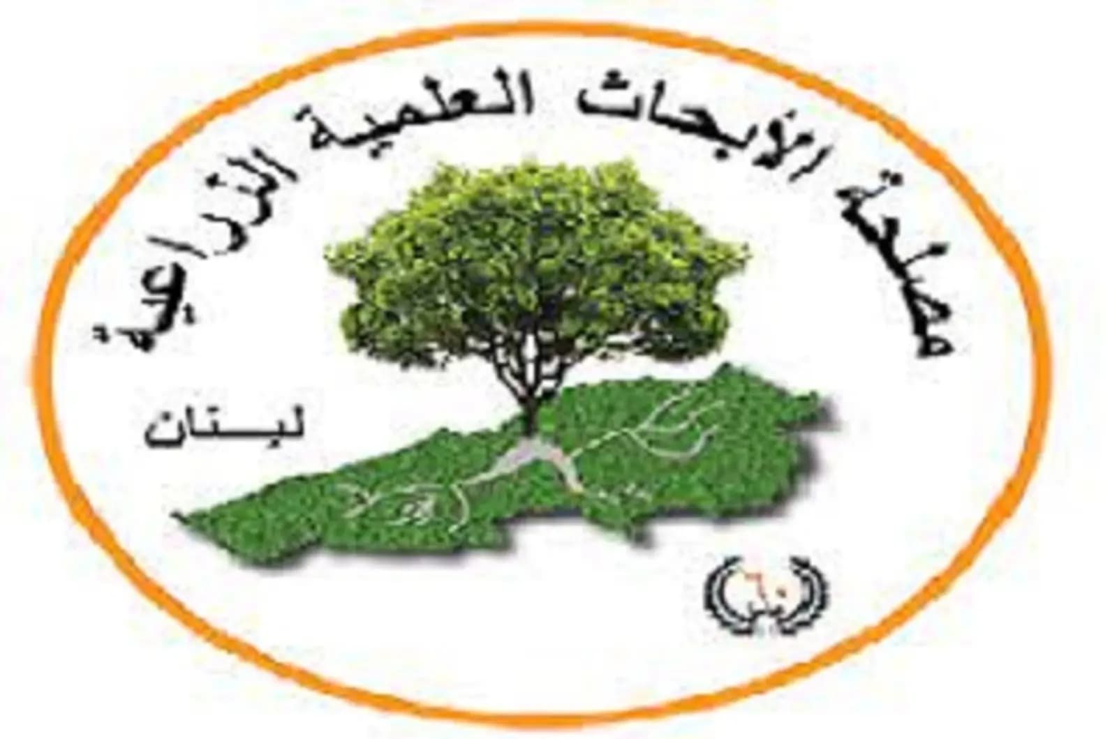 "دانييلا" و"حيان" هربا.. "لاري": لا داعي للهلع والخوف