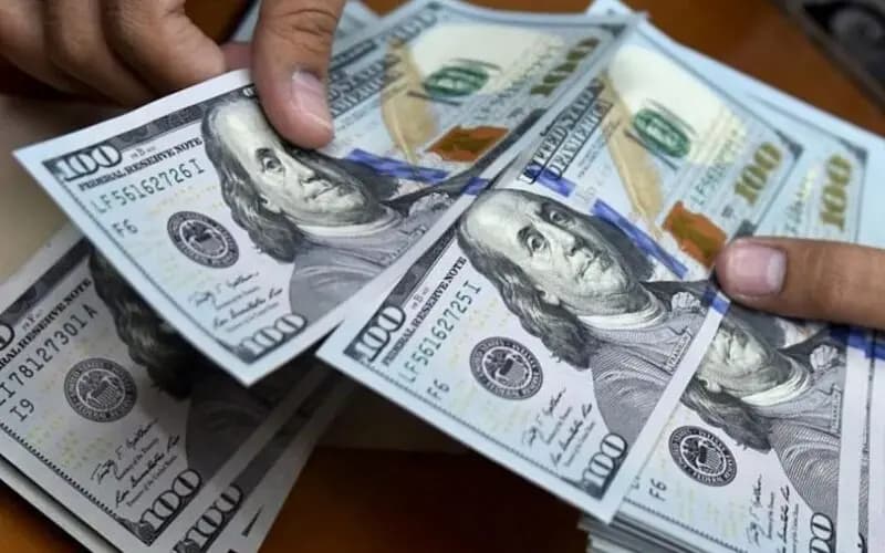 الدولار بسعر ثابت والتضخم إلى ارتفاع.. سيناريو الإنهيار سيتكرّر؟