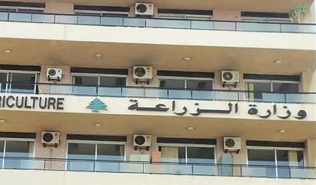 منعا للتلاعب بالأسعار.. بيان من "الزراعة"