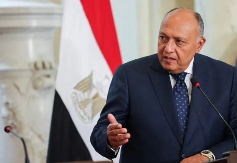 "خارجية مصر": الشعب الفلسطيني أظهر صمودا غير مسبوق