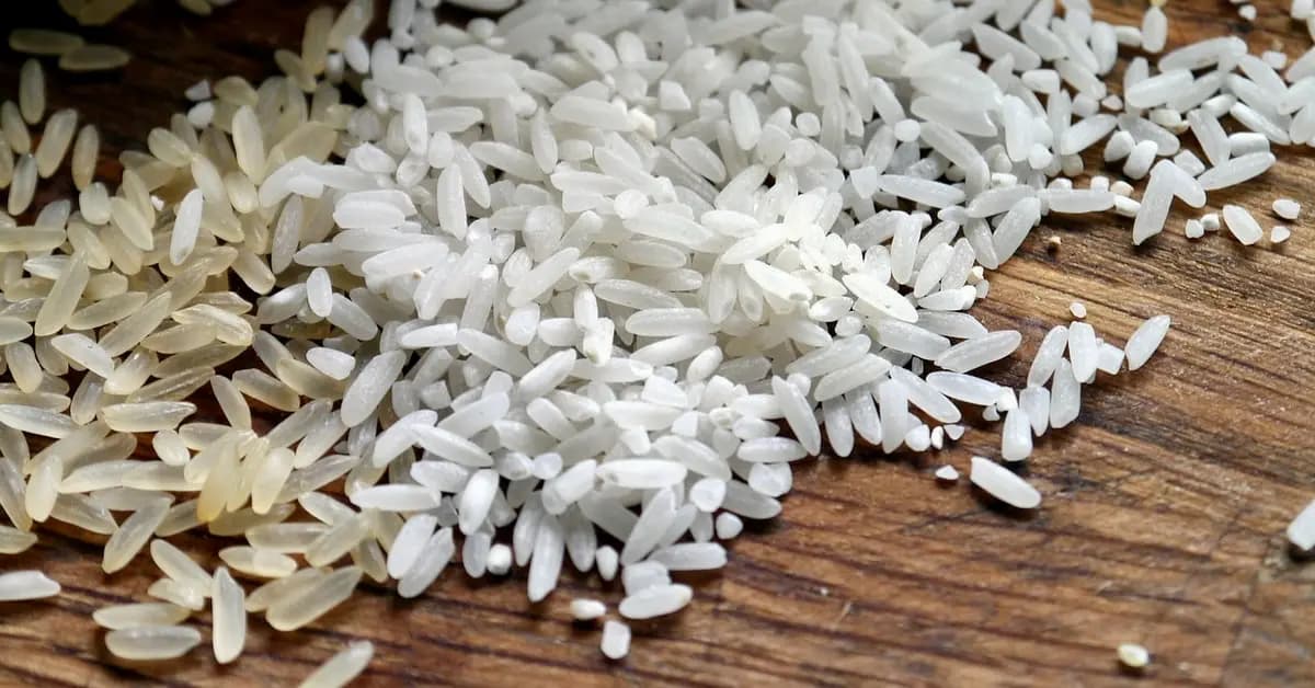 بحصلي يطمئن : لا أرز مسرطن في الأسواق اللبنانية