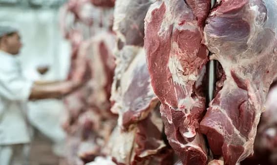 "الاقتصاد" تعثر على لحوم فاسدة في هذه المنطقة اللبنانية