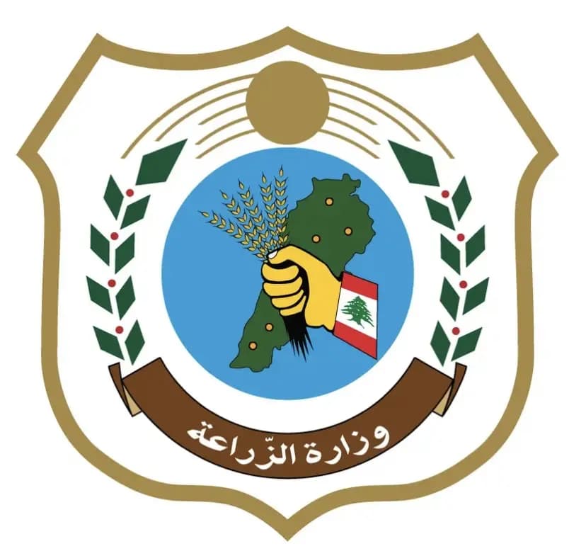 بعد إثارة موضوع "البطاطا المصرية".. "الزراعة" ترد