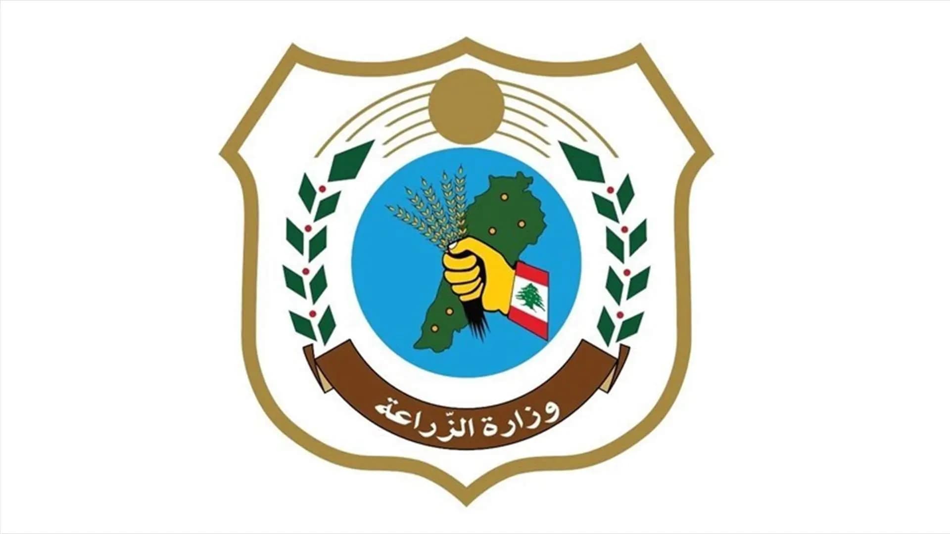 "منعًا للتلاعب بالأسعار".. بيان من وزارة الزراعة