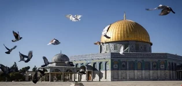 هنية لـ"ولايتي": زمن العربدة الصهيونية قد ولى
