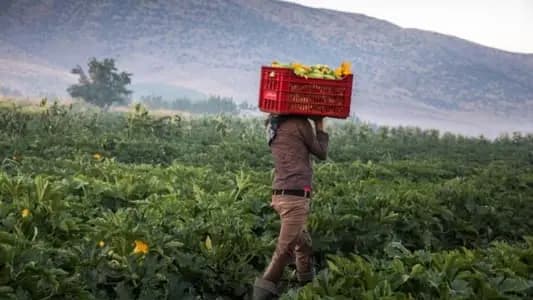 "خسائر كبيرة".. القطاع الزراعي يدقّ ناقوس الخطر