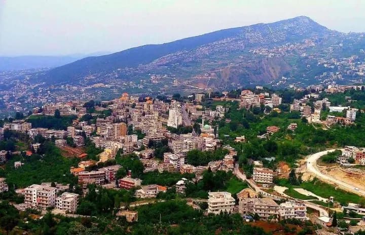 تحطيم آلية لقوى الأمن وإصابة عنصر.. إليكم ما حصل في هذه المنطقة