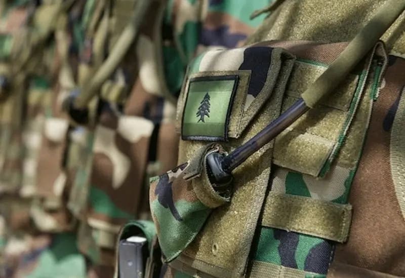"في بسري".. الجيش يوقف شخصين يستخدمان الأسلحة الحربية