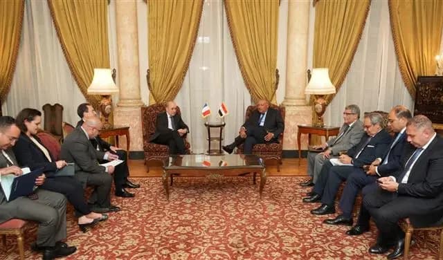 الوضع اللبناني بين وزير الخارجية المصري ولودريان