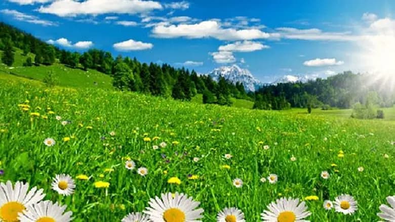كيف سيكون طقس الأيام المقبلة؟