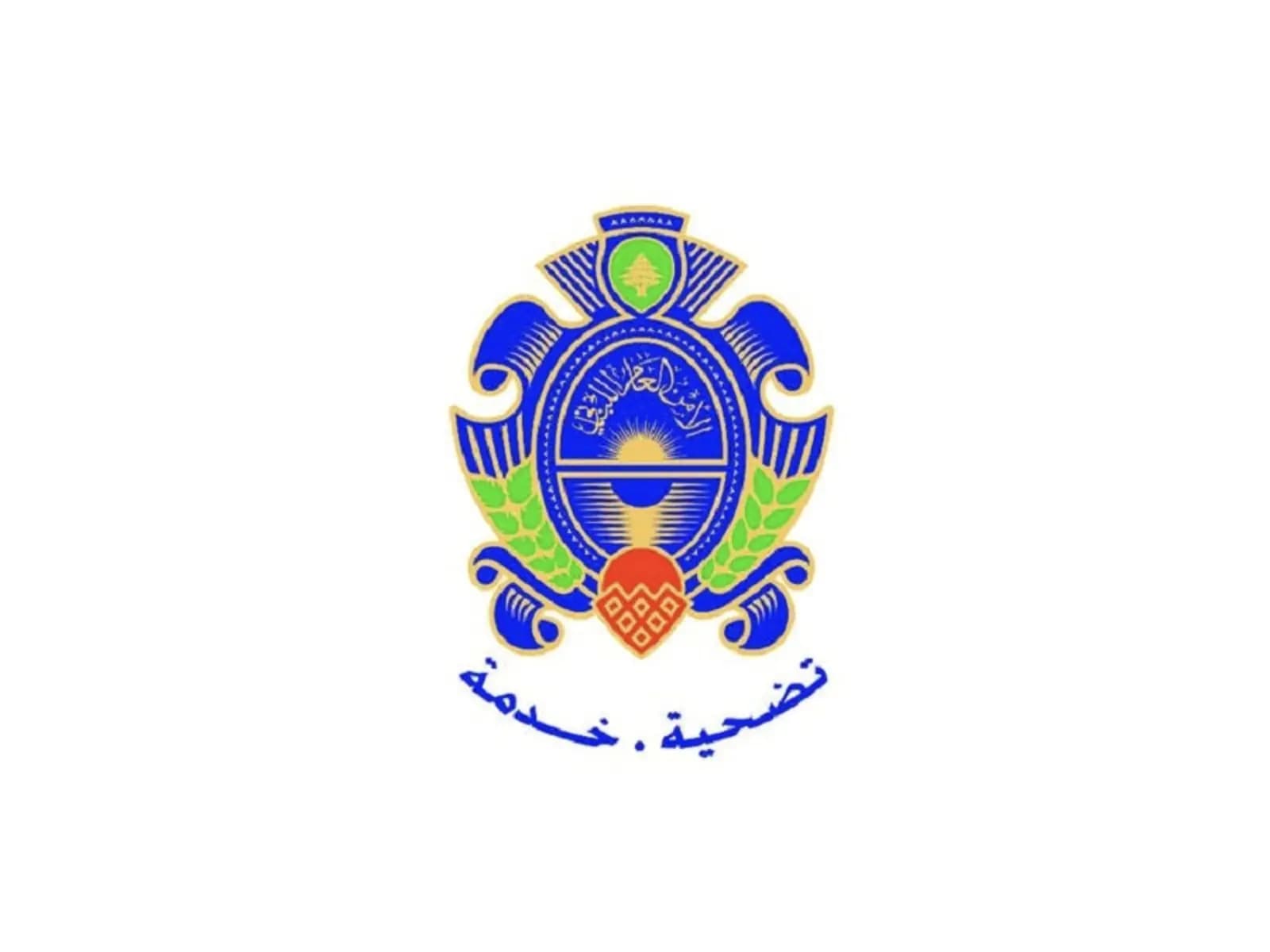الأمن العام يصدر بياناً مهماً.. هذا ما تضمنه
