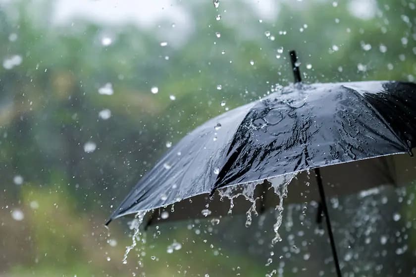 "الأمطار عائدة".. إليكم التفاصيل