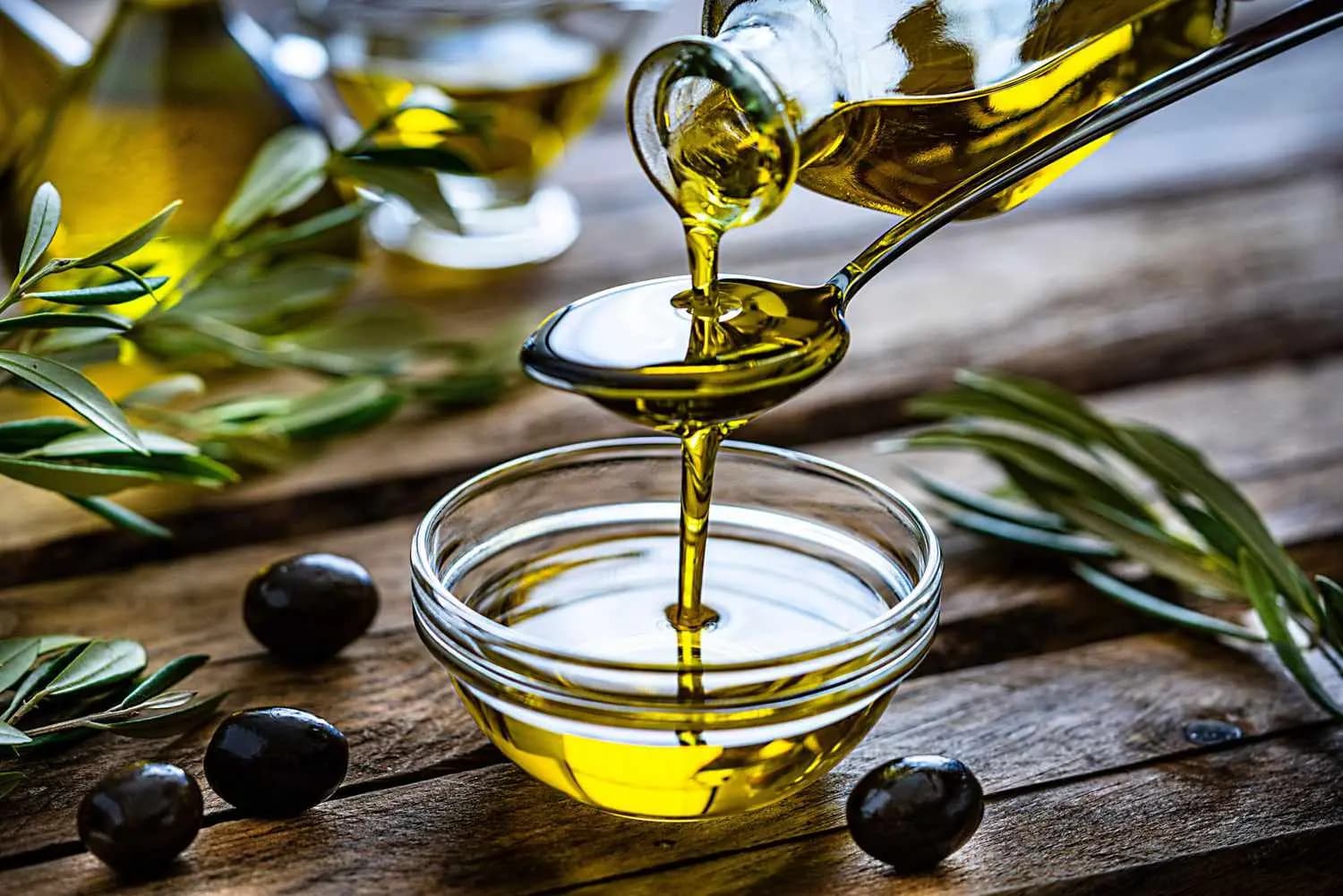 أجدادنا على حق بشأن زيت الزيتون.. آخر الدراسات: يقلل خطر الوفاة بسبب الخرف