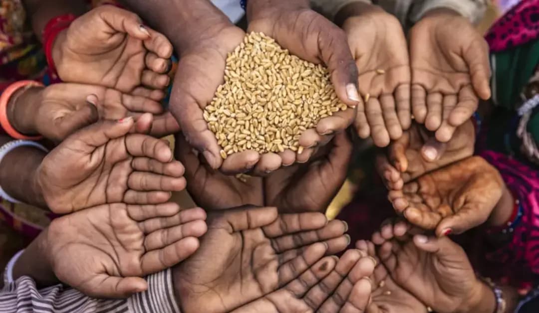 كيف أثرت ثلاثية كورونا وتغير المناخ والحرب في أوكرانيا على الأمن الغذائي العربي؟