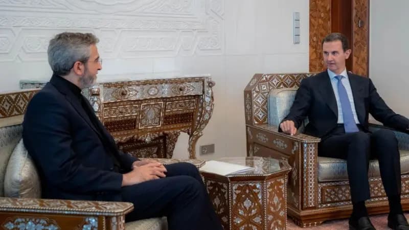 الأسد يلتقي باقري كني.. وهذا ما جرى تأكيده