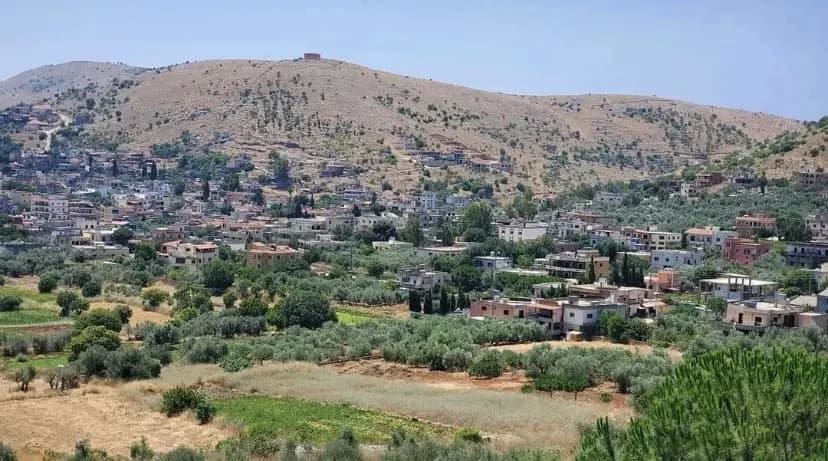 "في أقل من أسبوع".. العدو يستهدف عيترون للمرة الثانية